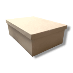 caja zapato n3