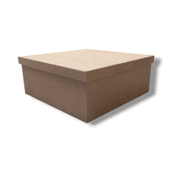 caja zapato 25x25